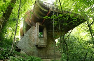 Audiophile Treehouse